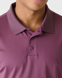 Baldwin Polo Sosta